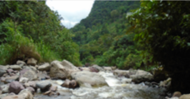 Análisis técnico para la identificación de proyectos hidroeléctricos en Colombia y estudios de prefactibilidad de 7 Proyectos Hidroeléctricos.
